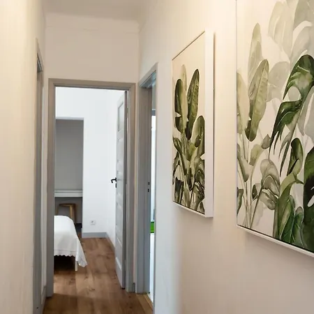Minimalist In Caldas Daire Caldas Da Rainha